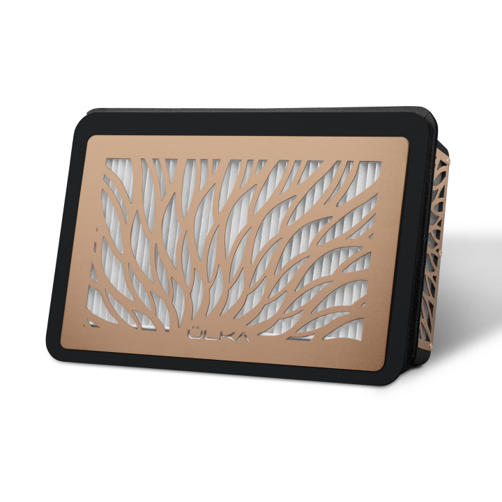 Aspirateur encastrable ULKA Tornado –Noir avec grille Rose Gold