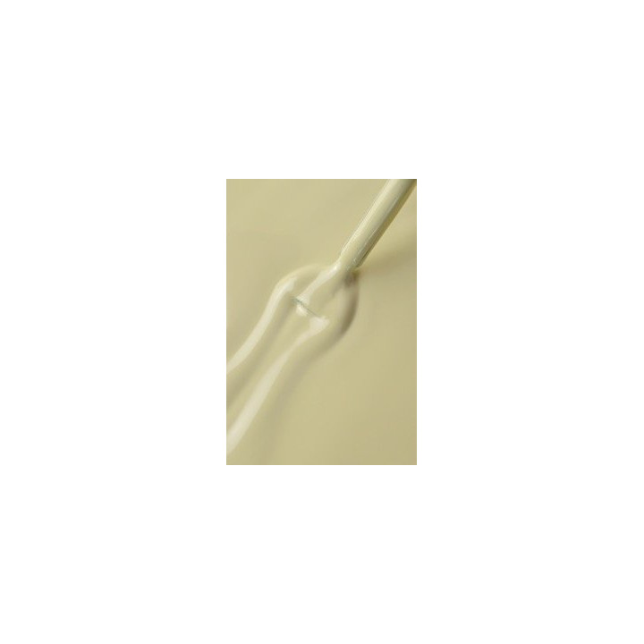 Gel Polish PNB 389 Spring Leaf - 8ml