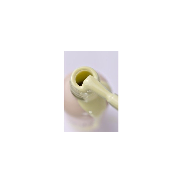 Gel Polish PNB 389 Spring Leaf - 8ml