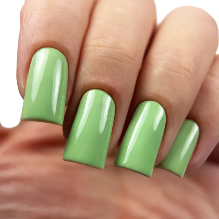 Gel Polish PNB Emerald Lake 396 - 8ml