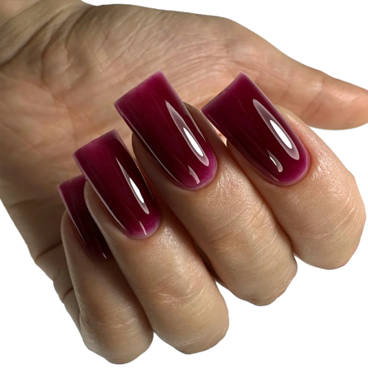 Builder Gel PNB Berry Night 040