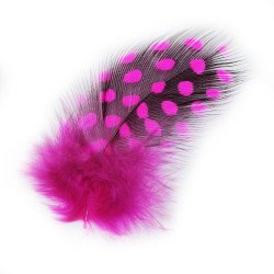 Plumas de arte de u&ntilde;as